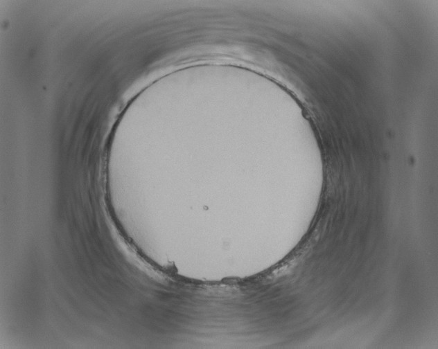 X0000067351526200604281429