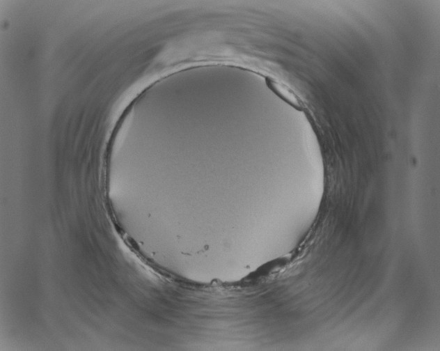 X0000067351527200604281429