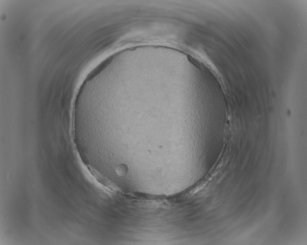 X0000067351528200604281429