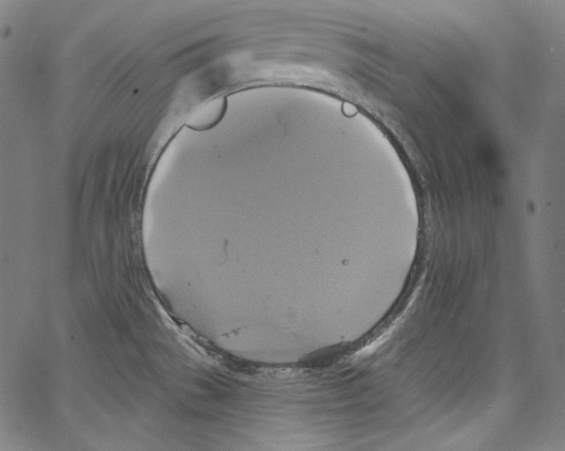 X0000067351529200604281429