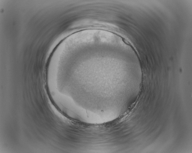 X0000067351531200604281429