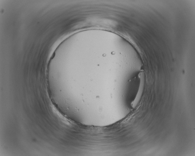 X0000067351532200604281429