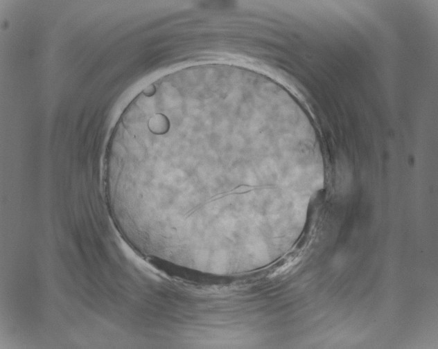 X0000067351535200604281429