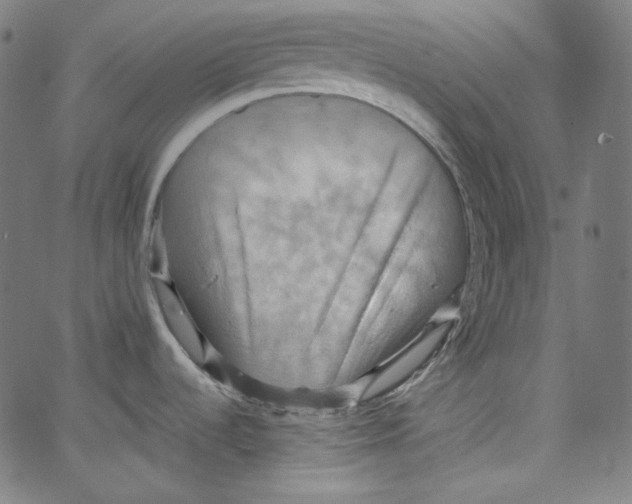 X0000067351536200604281429