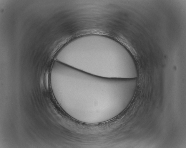 X0000067360014200603310936
