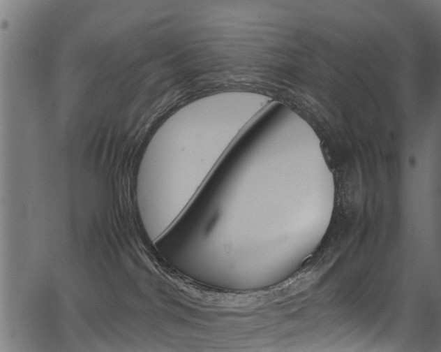 X0000067360044200603310936