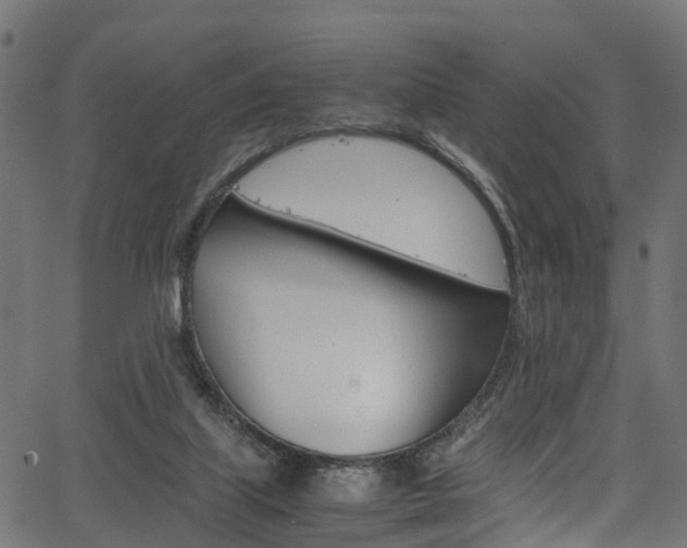 X0000067360067200603310935