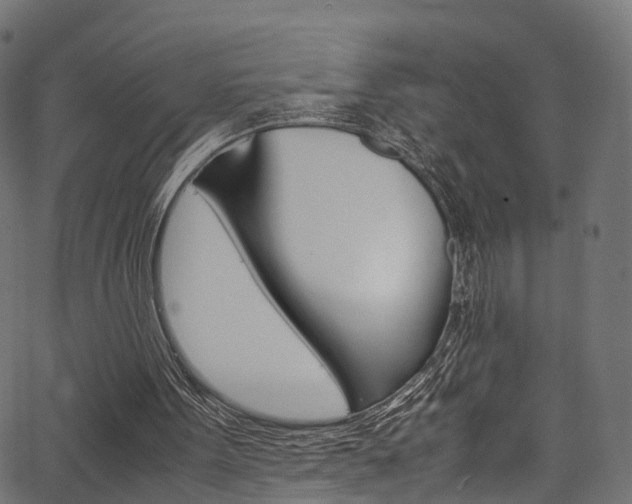 X0000067360099200603310935