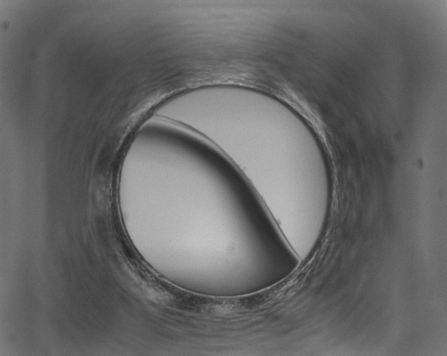 X0000067360107200603310935