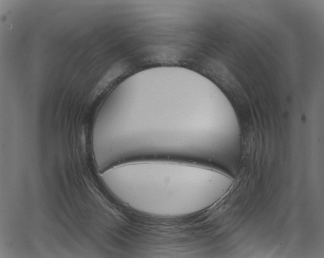 X0000067360120200603310935