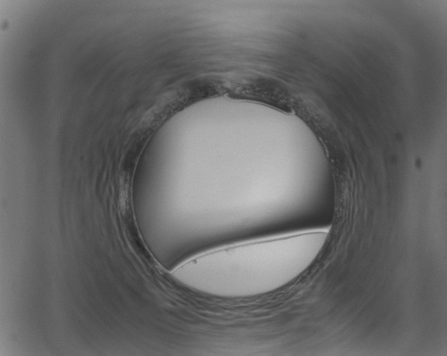 X0000067360129200603310934