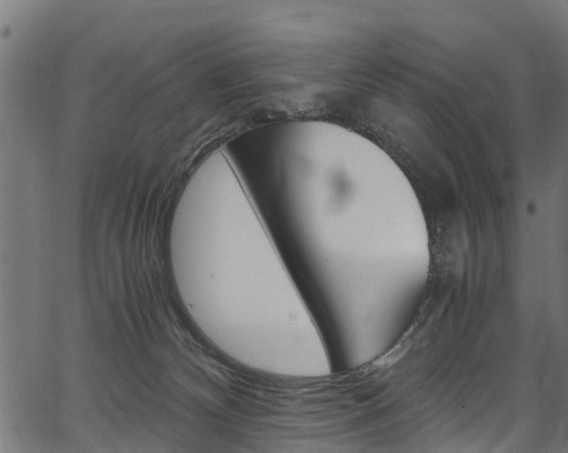 X0000067360132200603310934