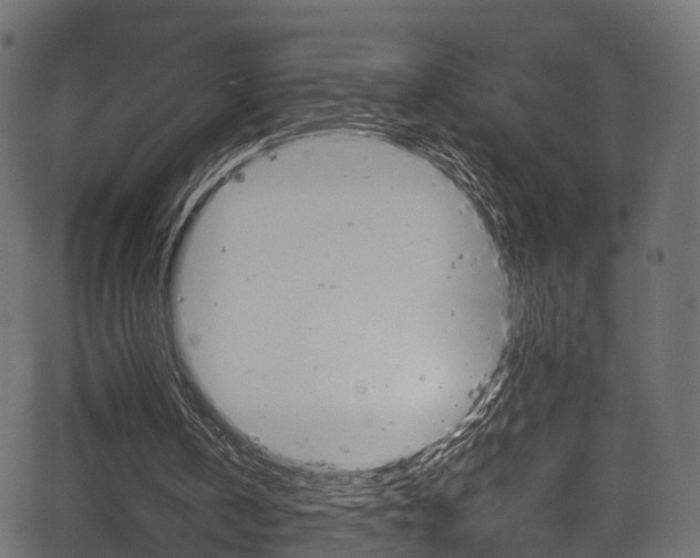 X0000067360146200603310933