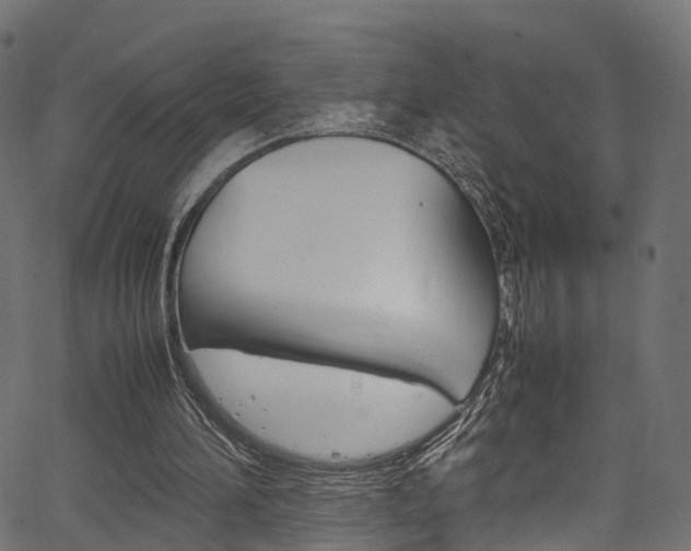 X0000067360196200603310933