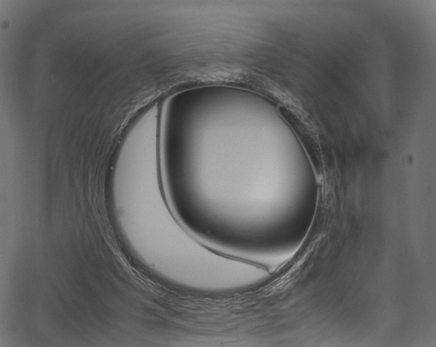 X0000067360201200603310933