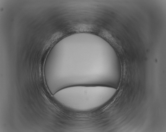 X0000067360202200603310933