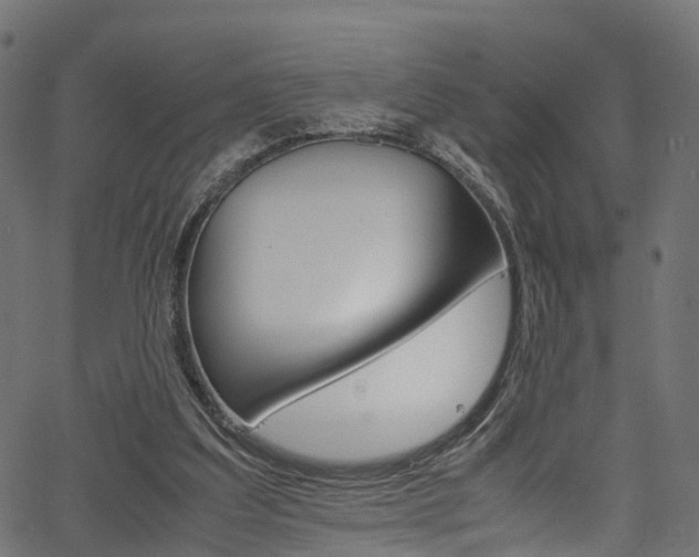 X0000067360203200603310933