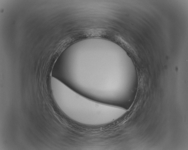 X0000067360209200603310933