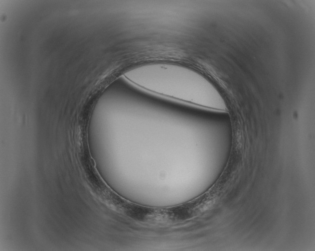 X0000067360211200603310933
