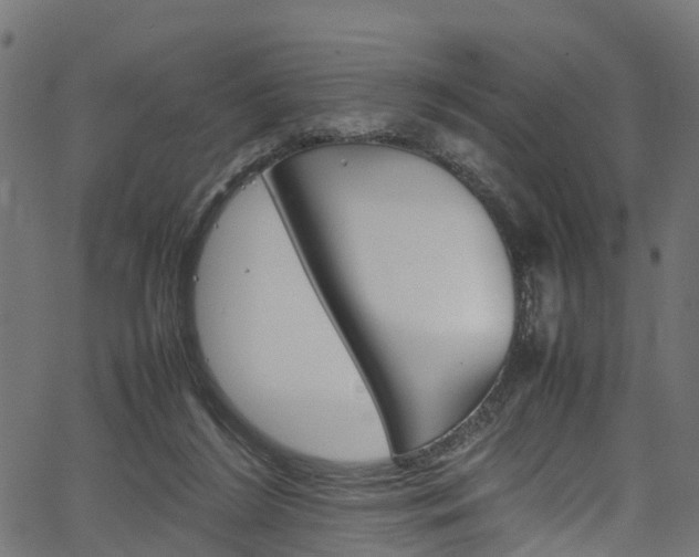 X0000067360212200603310933