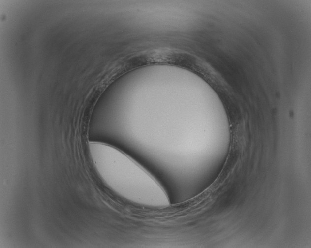 X0000067360217200603310933