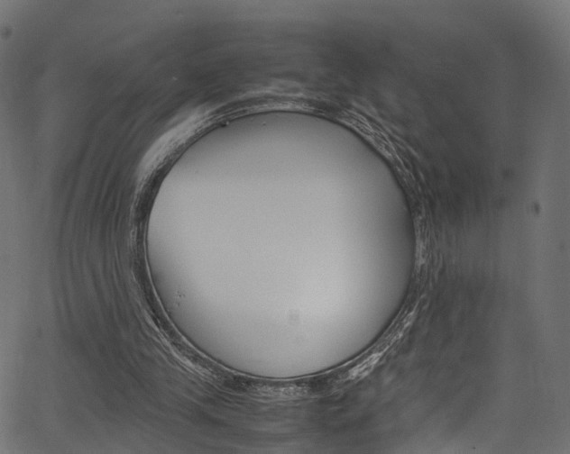 X0000067360245200603310932