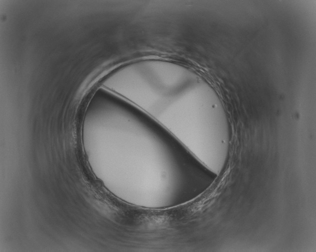 X0000067360247200603310932