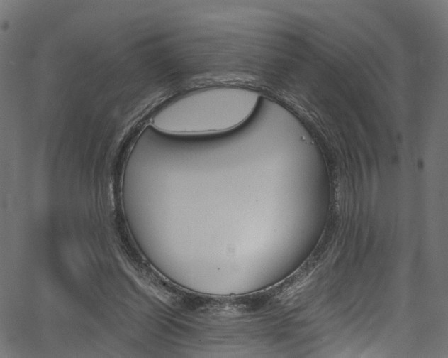 X0000067360254200603310932