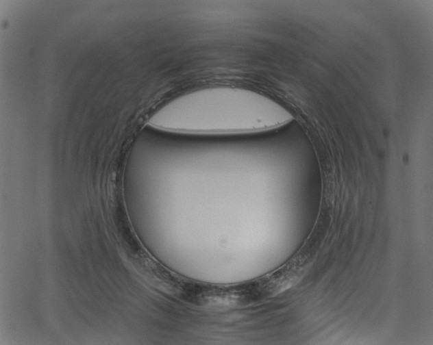 X0000067360263200603310932