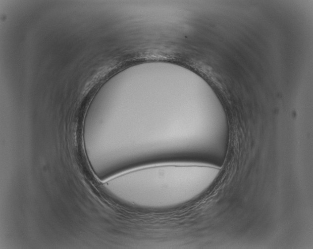 X0000067360299200603310932
