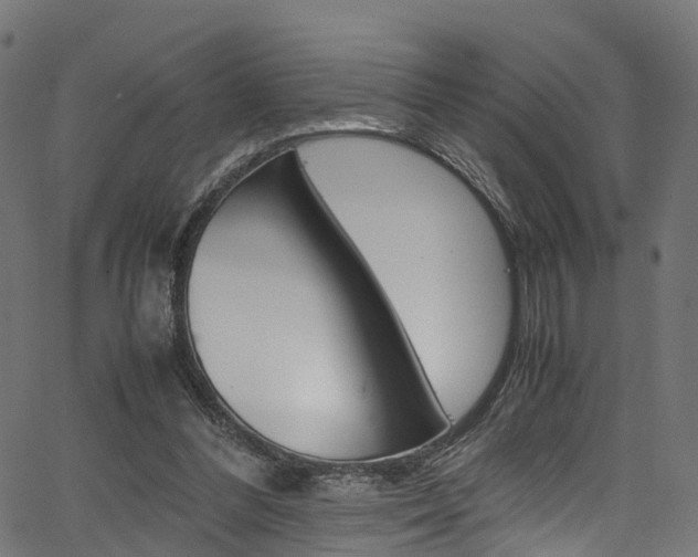 X0000067360300200603310932