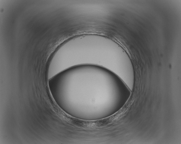 X0000067360301200603310932