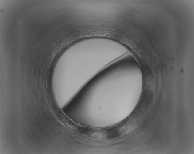 X0000067360303200603310932