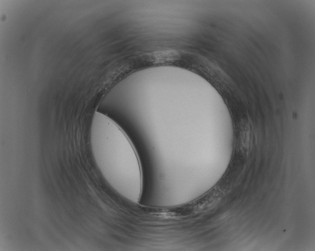 X0000067360316200603310931