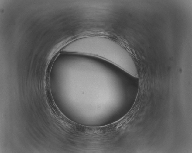 X0000067360340200603310930