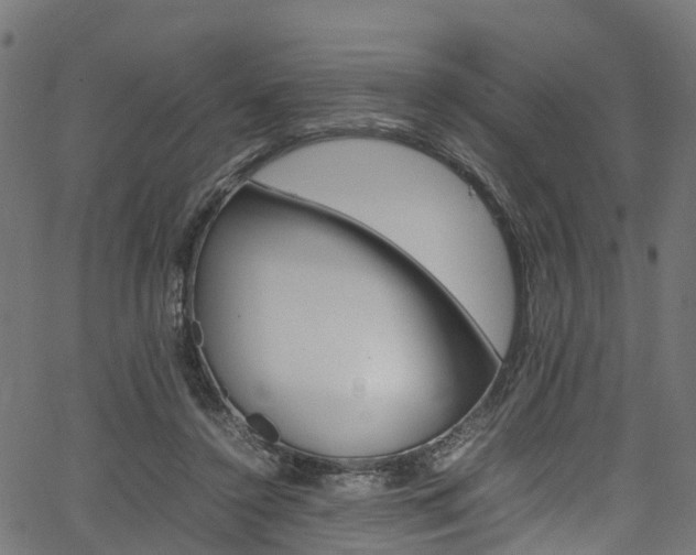 X0000067360356200603310931