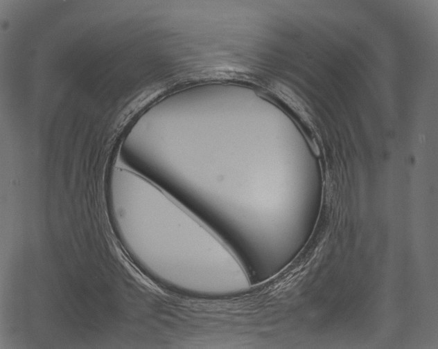 X0000067360389200603310930