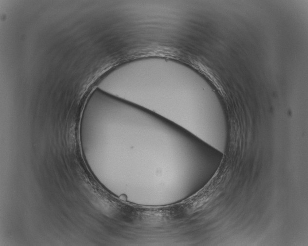 X0000067360394200603310930