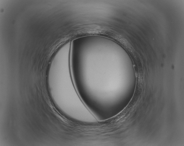 X0000067360397200603310930