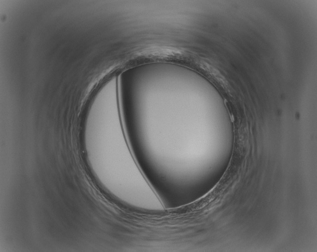X0000067360399200603310930