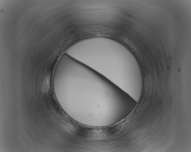 X0000067360406200603310930