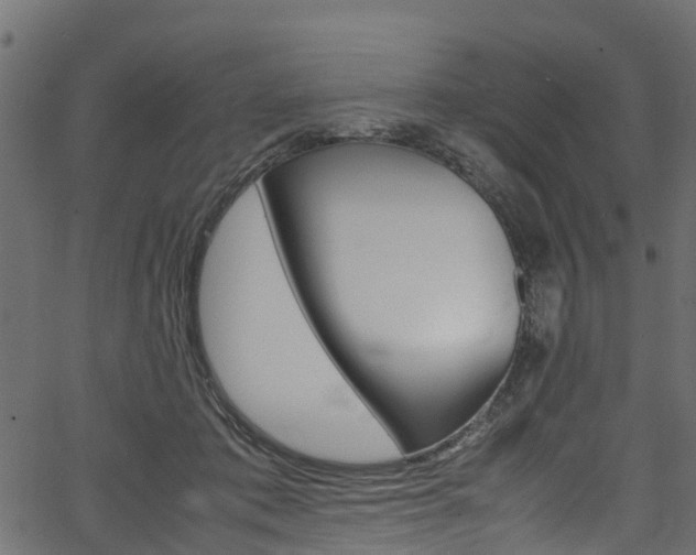 X0000067360413200603310930