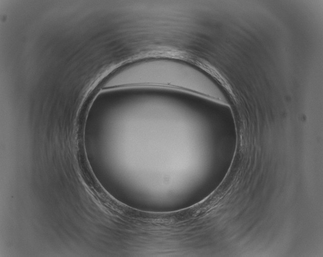 X0000067360436200603310929