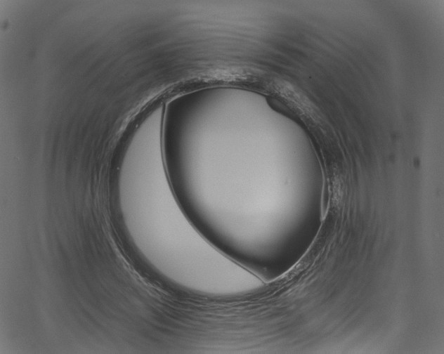 X0000067360444200603310929