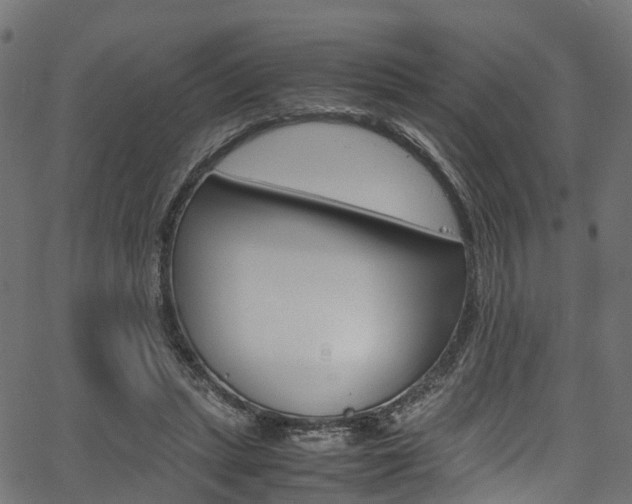 X0000067360447200603310929