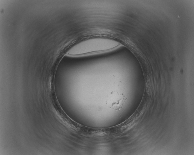 X0000067360454200603310929