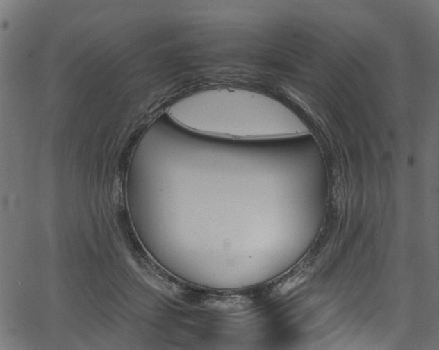 X0000067360459200603310929