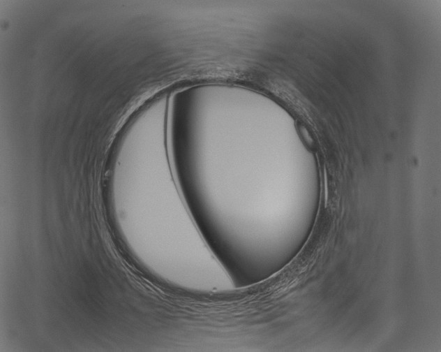 X0000067360483200603310929