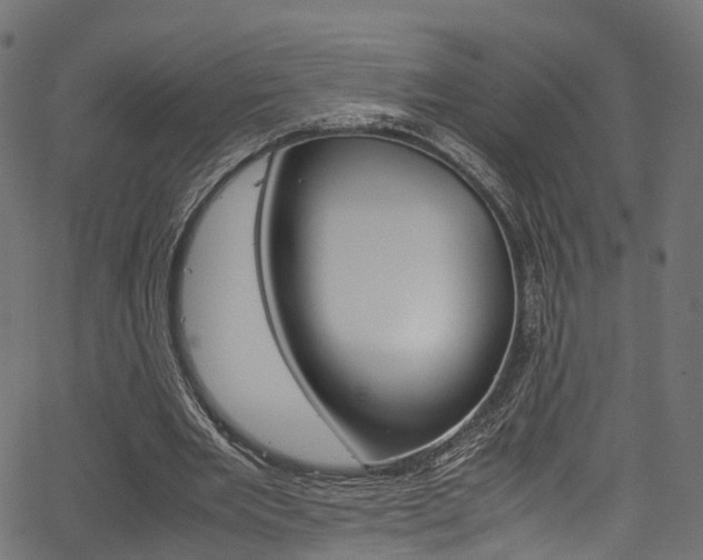 X0000067360485200603310929