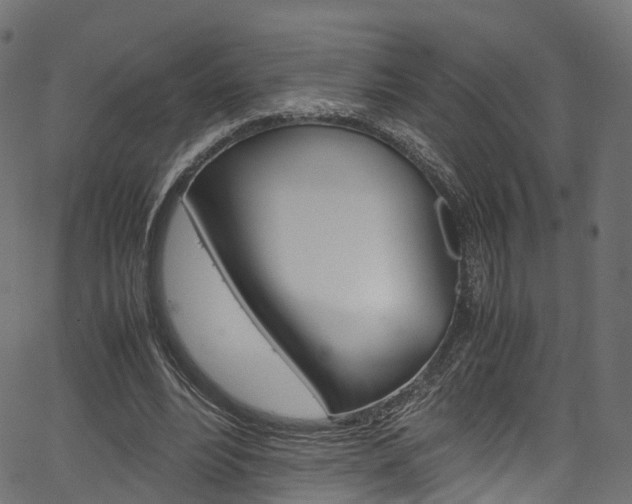 X0000067360488200603310929